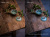Накамерный свет DigitalFoto Tree Frog 20W RGB