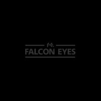 Фон бумажный Falcon Eyes Colortone 2.75*11m/Super Black Черный BDSV-2.75-20