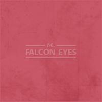 Фон Falcon Eyes BCP-17 ВС-2770