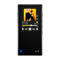 Плеер TempoTec Variations V1