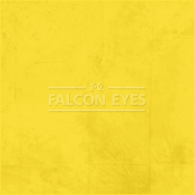 Фон Falcon Eyes BCP-13 ВС-2970