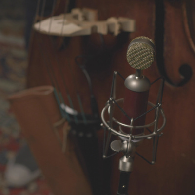 Микрофон Blue Microphones Spark SL магазин PROAIM