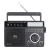 Портативное радио Retekess TR629