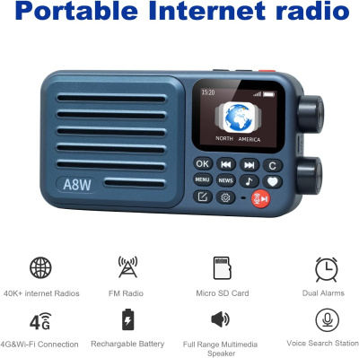 Портативное радио Choyong A8W