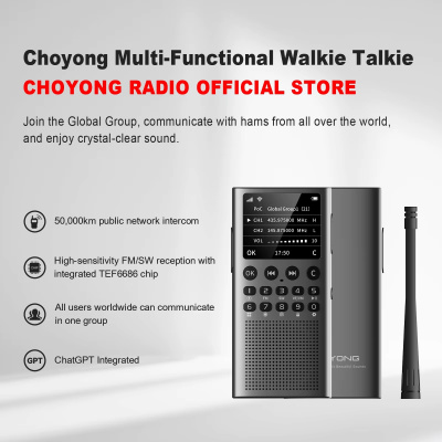 Радио Choyong WT2 магазин PROAIM