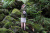 Рюкзак-слинг National Geographic NG RF 4550 Rain Forest для фотоаппарата