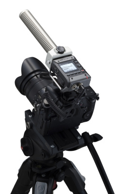 Комплект Zoom F1-SP, микрофон-пушка SGH-6